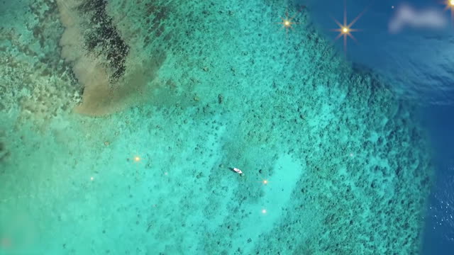 Video Costa Neoriviera Indischer Ozean Und Palmiste Sonnenklar Tv