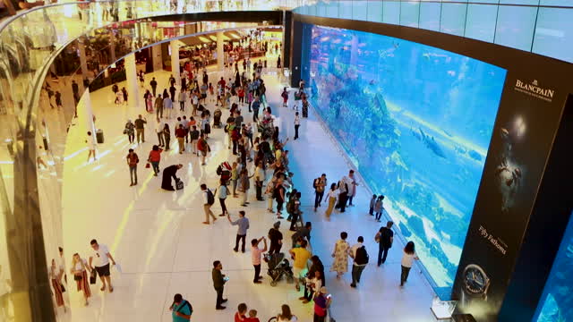 Video Dubai Aquarium Und Underwater Zoo Sonnenklar Tv