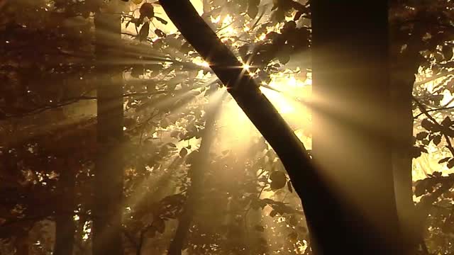 Wandern in Deutschland, Österreich und Norditalien