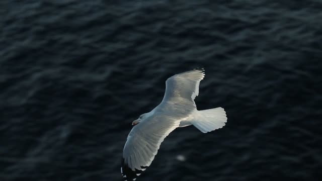 Impressionen einer Kreuzfahrt entlang Irland und Großbritannien
