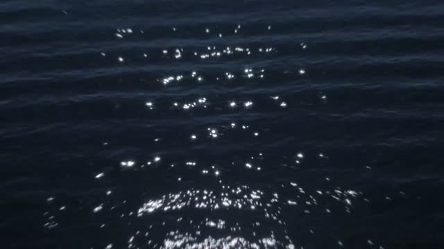 Impressionen Südsee