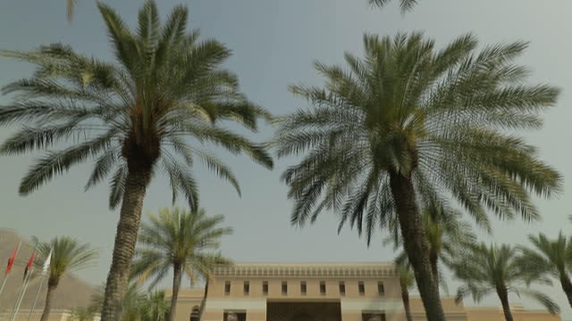Impressionen vom Miramar Al Aqah Beach in Fujairah
