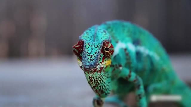 Impressionen Madagaskar