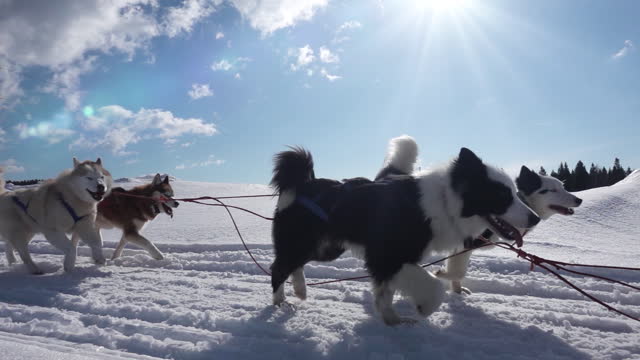 Impressionen Lappland Winter