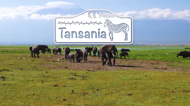 Impressionen Tansania