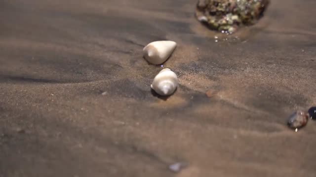 Sonne, Strand und Meer in Marsa Alam - Impressionen