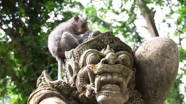 Impressionen Südostasien