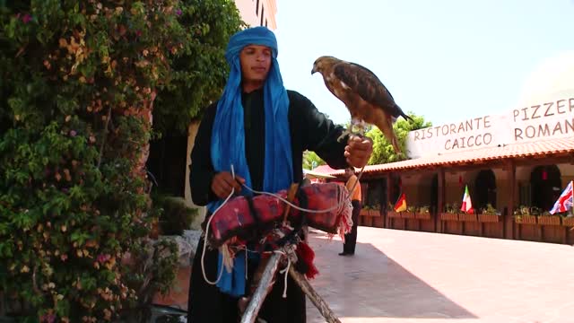 Impressionen Tunesien