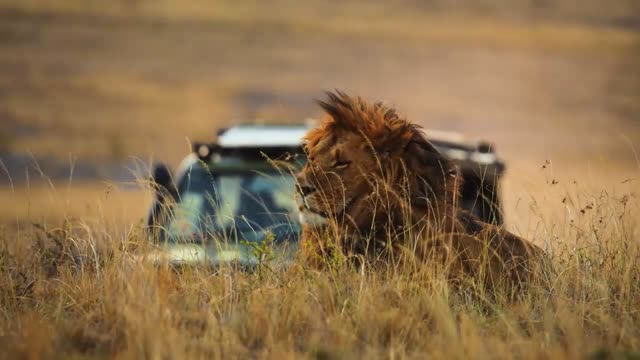 Impressionen von Baden in Kenia & Safari im Tsavo Ost Nationalpark