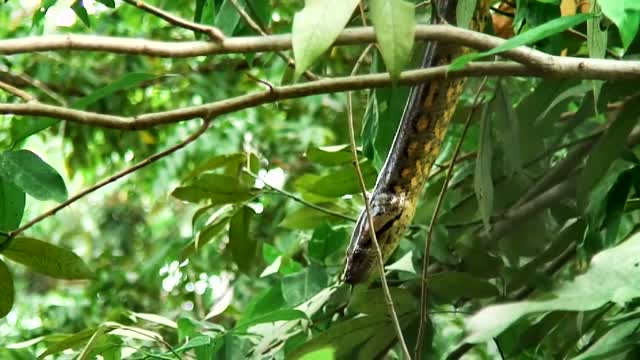 Impressionen einer Südamerika-Antarktis-Kreuzfahrt