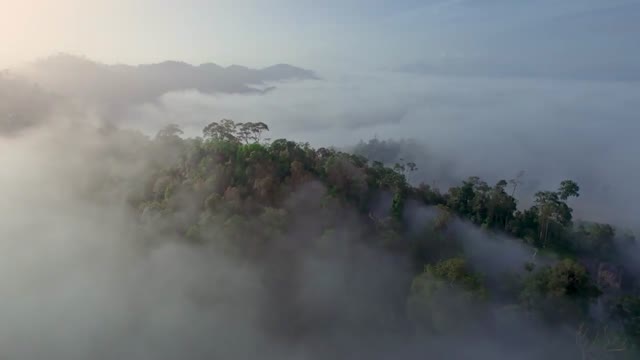 Impressionen von Malaysia