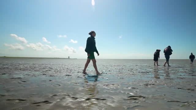 Nordsee Wattwanderung Tipp