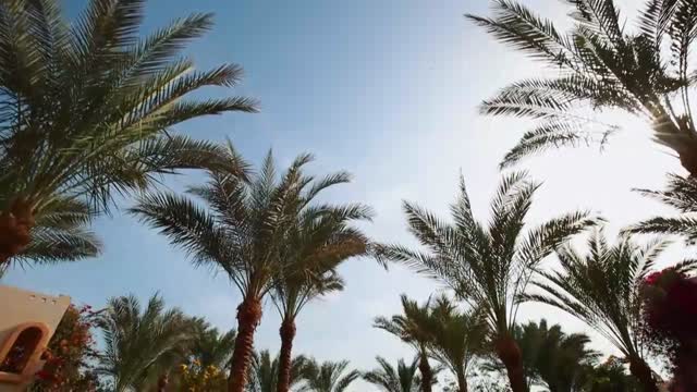 Impressionen Marsa Alam in Ägypten