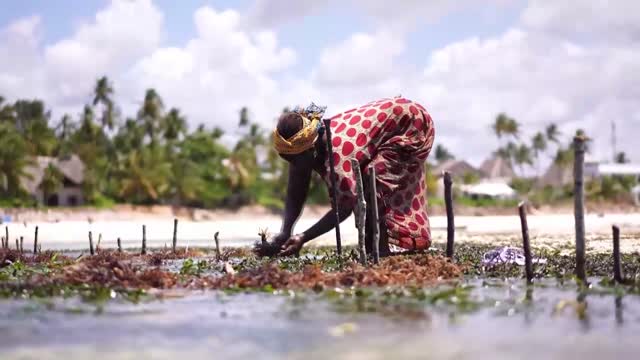 Kenia & Sansibar - Impressionen