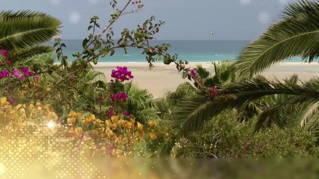 Video ber Unser Neujahrsspecial fr alle Strandlufer: Das Fergus Cactus  Garden auf Fuerteventura mit gleich zwei Upgrades (94229) - sonnenklar.TV  Mediathek