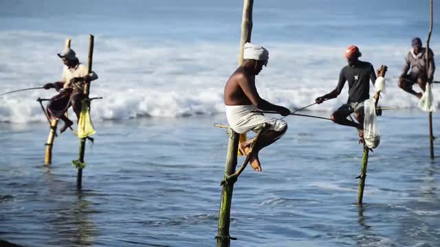 Impressionen - Sri Lanka