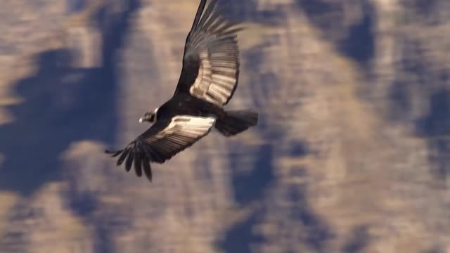 Impressionen der schönsten Orte Chiles