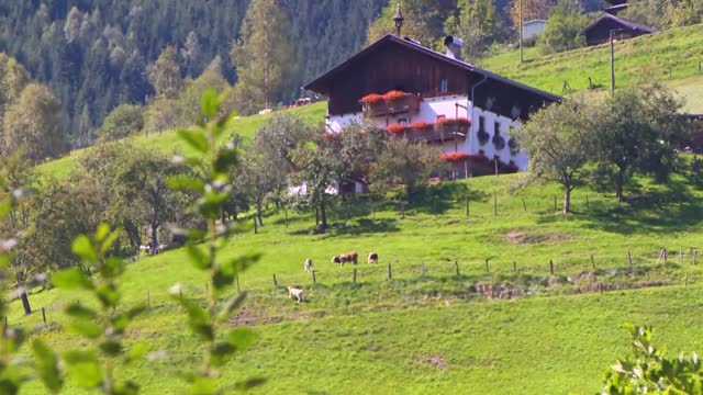 Hotel Herz in Zell am See