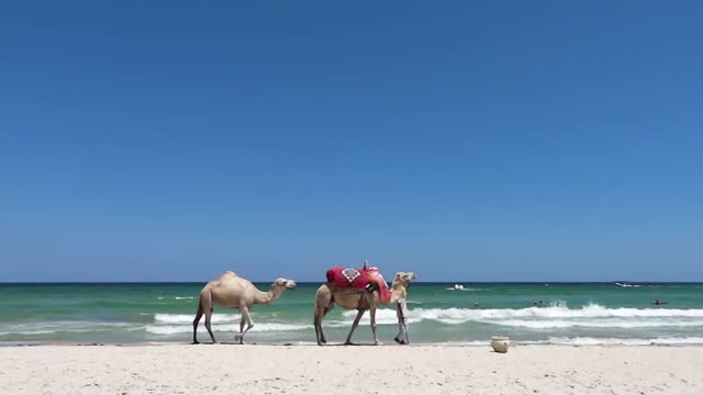 Impressionen Tunesien