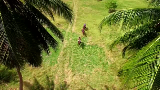 Barbados All Inclusive Strandurlaub Roulette - Accra Beach Hotel oder The Abidah by Accra