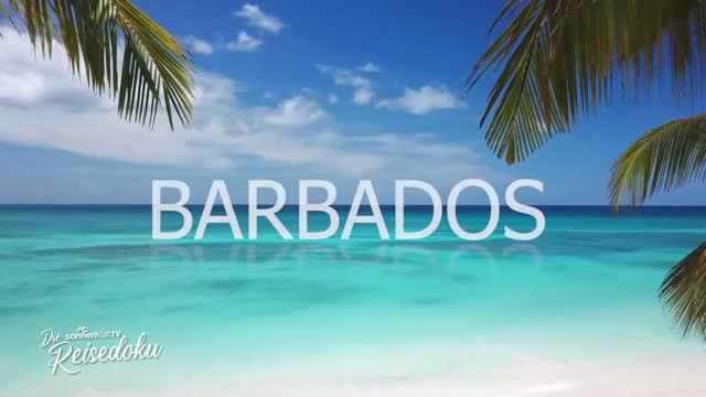 sonnenklar.TV Reisedoku Barbados