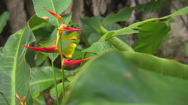 NJS 2025: Impressionen Klassisches Kuba und Paradisus Princesa del Mar