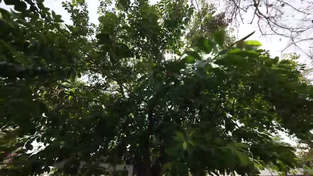 Impressionen von Side an der Türkischen Riviera