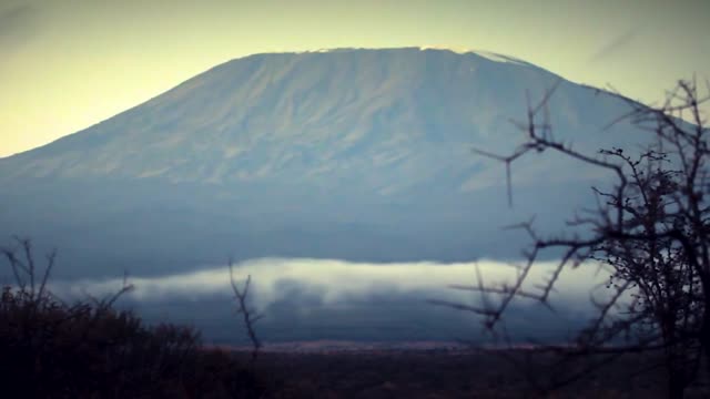 PrideInn Flamingo Beach Resort & Spa und Safarierlebnis