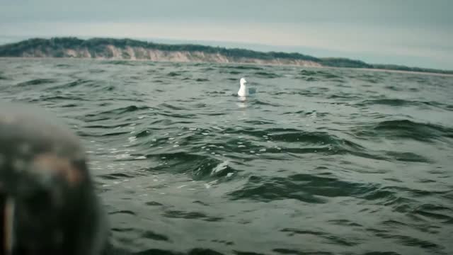 Dorint Resort Baltic Hills Usedom